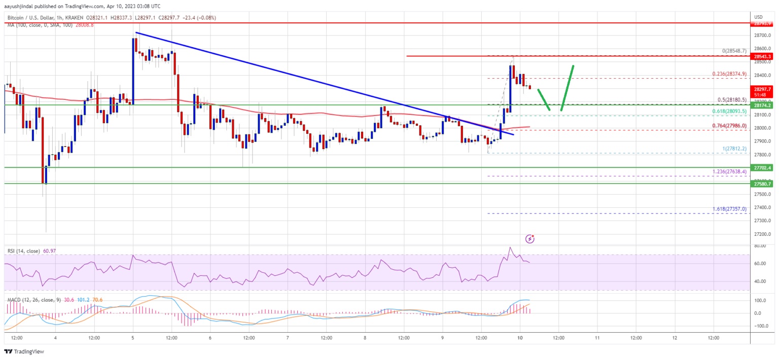 نمودار بیت کوین