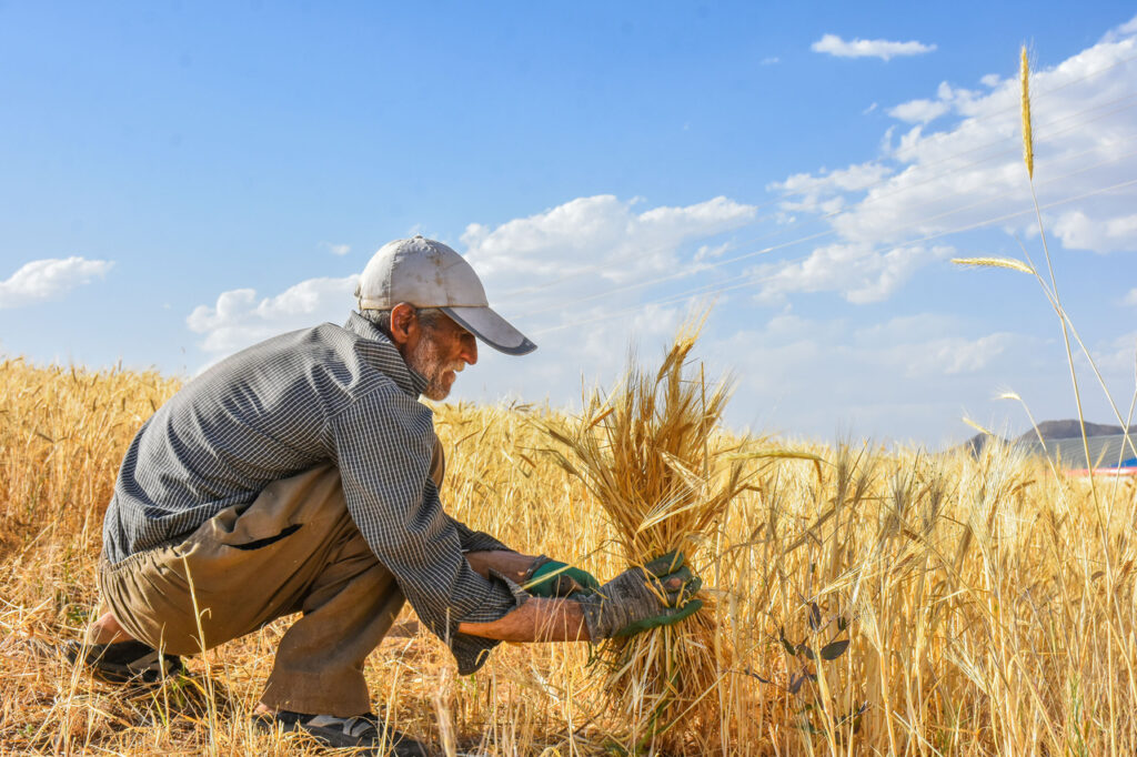 این زمین‌ها از مالیات معاف شدند+ جزئیات