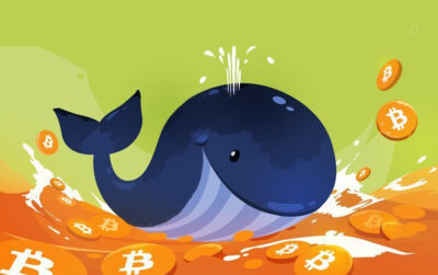 نهنگ ارز دیجیتال چیست و چه تاثیری در بازار کریپتو دارد؟