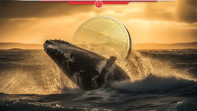 هجوم نهنگ‌‌ها برای خرید بایننس کوین در کف قیمت