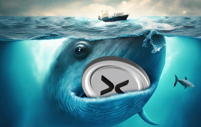 اصلاح بازار نهنگ‌های ریپل (XRP) را به تکاپو انداخت