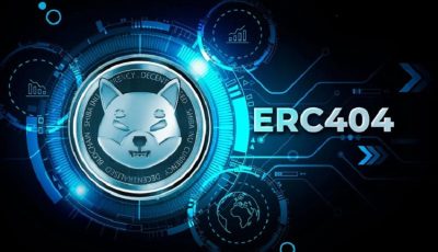 توضیحات تازه شیبا اینو درباره استاندارد توکن ERC404