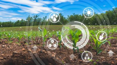 استفاده از داده‌های فضایی و هوش مصنوعی برای پایش سطح زیر کشت محصولات کشاورزی