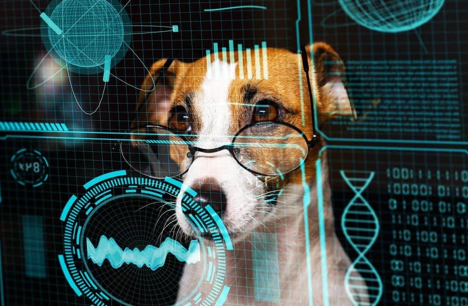 هوش مصنوعی صدای سگ‌ها را ترجمه می‌کند!