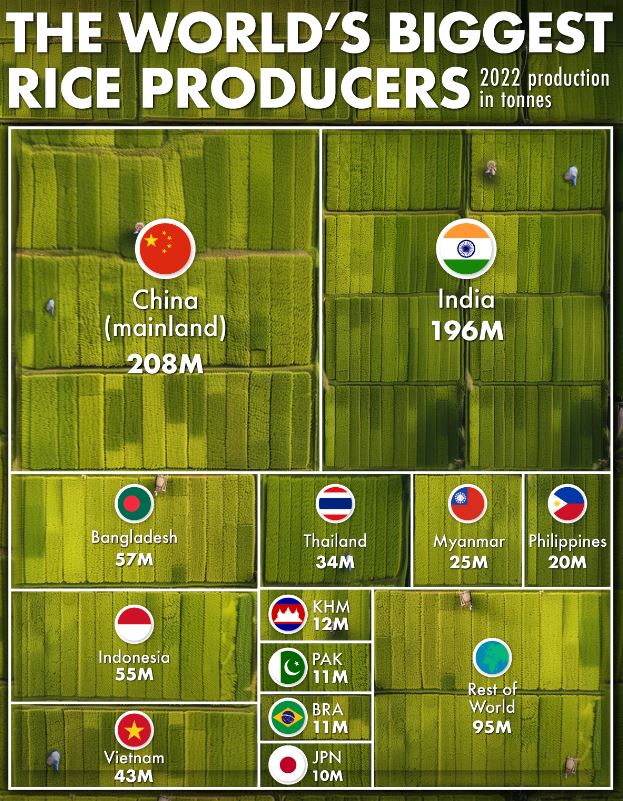 بزرگترین تولیدکنندگان برنج جهان